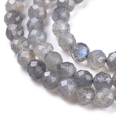 Natural Labradorite Beads Strands G-R475-025C-1