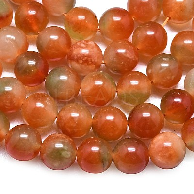 Natural Malaysia Jade Beads Strands G-L645-C01-14mm-29-1
