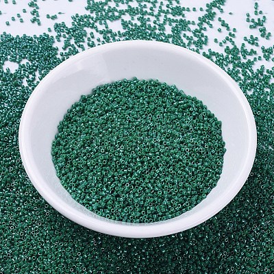 MIYUKI Delica Beads SEED-J020-DB0656-1