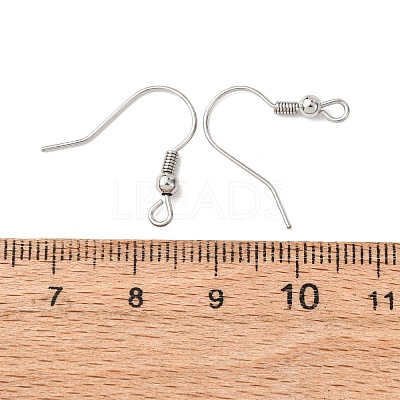 Tarnish Resistant 316 Surgical Stainless Steel Earring Hooks STAS-E009-1-1
