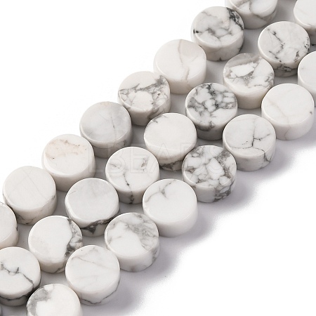 Natural Howlite Beads Strands G-C159-B01-01-1