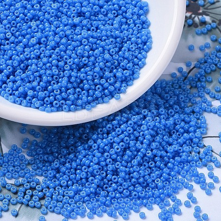 MIYUKI Round Rocailles Beads X-SEED-G007-RR4484-1