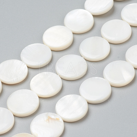 Natural Freshwater Shell Beads BSHE-I011-01B-02-1