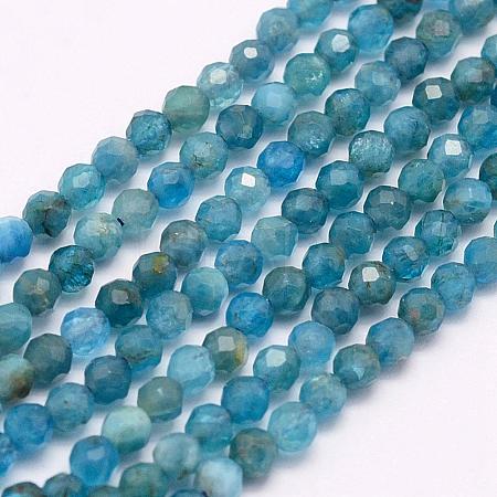 Natural Apatite Beads Strands G-F509-17-3mm-1