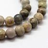 Natural Polychrome Jasper/Picasso Stone/Picasso Jasper Bead Strands G-G667-01-6mm-1