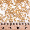Glass Bugle Beads SEED-S032-11A-102B-4