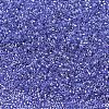 MIYUKI Delica Beads X-SEED-J020-DB0243-1