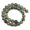 Natural Prehnite Beads Strands G-P322-48-12mm-8