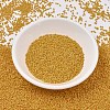 MIYUKI Delica Beads SEED-J020-DB2285-2