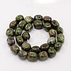 Natural Green Rainforest Stone Beads Strands G-K001-M02-2
