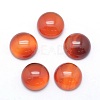 Natural Carnelian Cabochons X-G-P393-R41-12mm-1