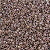 MIYUKI Delica Beads SEED-MY11-DB1749-3