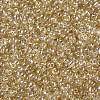 Glass Seed Beads SEED-US0003-3mm-102-2