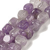 Natural Amethyst Beads Strands G-B078-D12-02-1