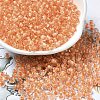 Transparent Glass Round Seed Beads SEED-B001-05A-31-1