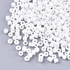 Opaque Glass Seed Beads SEED-S023-01A-01-2