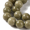 Natural Alashan Agate Beads Strands G-P530-B05-04-4