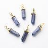 Natural Sodalite Double Terminated Pointed Pendants G-G902-B14-2