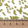 Baking Paint Glass Seed Beads X-SEED-S042-15A-07-4