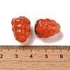 Handmade Lampwork Beads Strands LAMP-G162-05I-4