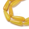 Natural Freshwater Shell Beads Strands SHEL-A004-03D-3