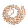 Transparency Electroplate Glass Beads Strands GLAA-T023-40B-04-2
