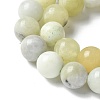 Natural New Jade Beads Strands G-F591-16-10MM-7
