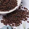 MIYUKI Round Rocailles Beads SEED-X0055-RR3761-1