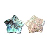 Natural Abalone Shell/Paua Shell Pendants BSHE-Z002-04-3