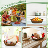 6Pcs 3 Styles Plastic Display Trays ODIS-WA0001-08-6
