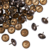 Iron Round Head Nails AJEW-GA0001-54-1