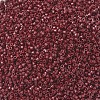 MIYUKI Delica Beads SEED-MY11-DB2119-3