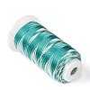 Segment Dyed Round Polyester Sewing Thread OCOR-Z001-B-07-2