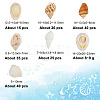 135Pcs 5 Size Natural Conch Shell Beads BSHE-PH0001-14-2