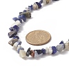 Natural Sodalite Chip Beaded Necklaces with 304 Stainless Steel Lobster Claw Clasp & Chain Extender NJEW-JN04225-02-2