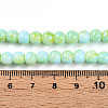 Baking Paint Glass Beads Strands DGLA-N003-6mm-C04-5