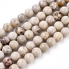 Natural Maifanite/Maifan Stone Beads Strands X-G-F353-4mm-5