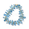 Natural Quartz Crystal Beads Strands G-F800-C16-2