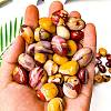 Natural Mookaite Healing Stones PW-WGD7FF2-18-1