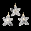 Natural Quartz Crystal Pendants X-G-H353-01G-02-1