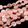 Natural Shell Beads Strands PBB251Y-6-1