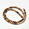 Frosted Natural Petrified Wood Round Bead Strands G-F266-07-8mm-2