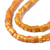 Natural Trochus Shell Beads Strands SHEL-S278-027F-3