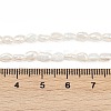 Natural Cultured Freshwater Pearl Beads Strands PEAR-P064-20E-03A-5