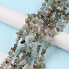 Natural Labradorite Beads Strands G-G0003-B32-2