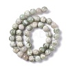 Natural Peace Jade Beads Strands X-G-G905-07-3