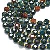 Natural Bloodstone/Heliotrope Stone Beads Strands G-C116-A143-01-3