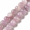 Natural Kunzite Beads Strands G-I346-04-2