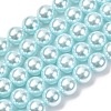 Electroplated Shell Pearl Beads Strands BSHE-G041-8mm-03-1