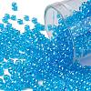 TOHO 8/0 Round Beads X-SEED-TR08-0104B-1